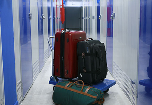 5e84355ad2151.jpg